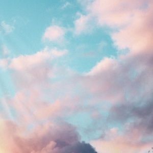 Meet your Posher, Carly